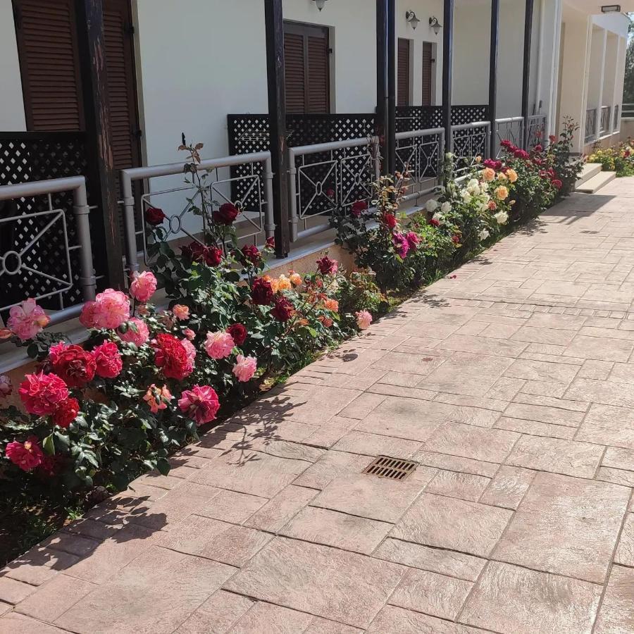 Guesthouse Michobeis Kamarina Ngoại thất bức ảnh